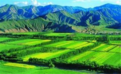 土壤墑情自動監(jiān)測設備充分顯現(xiàn)了農(nóng)業(yè)自動化